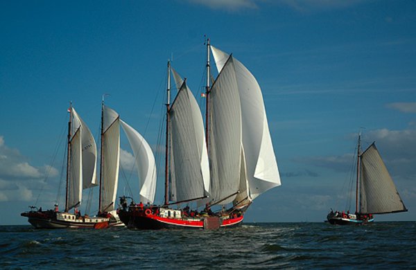 Wedstrijdzeilen aan boord van de traditionele zeilschepen van Holland Sail