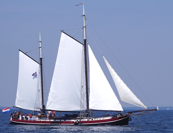 Alberdina